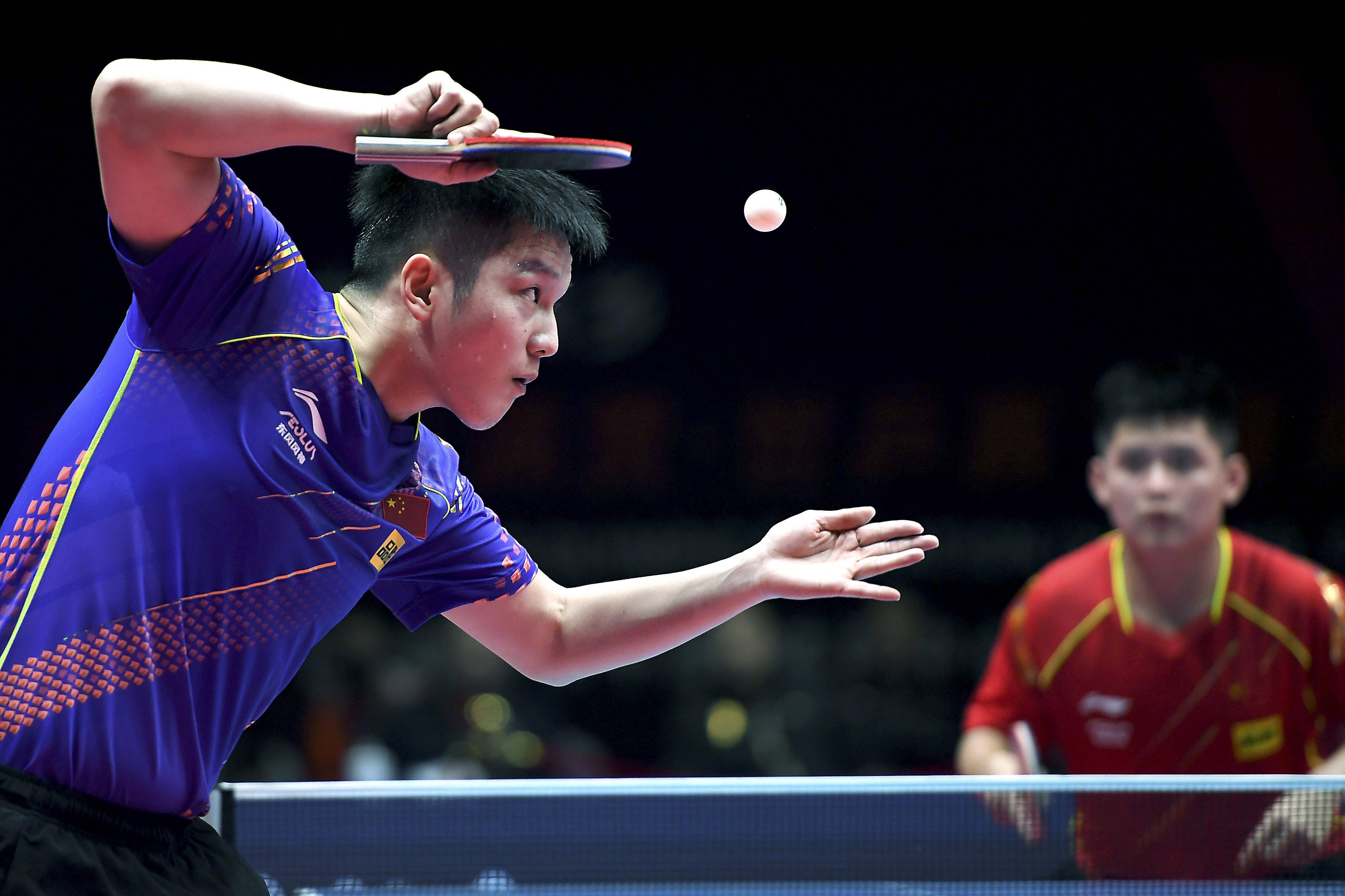 将无从反应 将无从反应